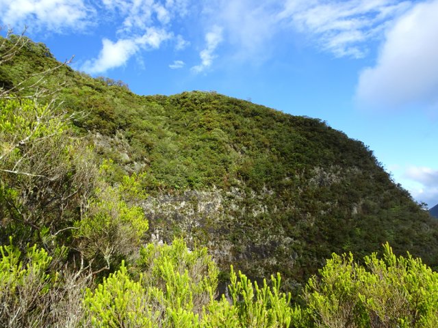 Le rempart entourant le Plateau de la Sale