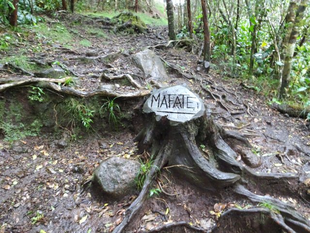 Le Sentier Scout descend effectivement vers Mafate