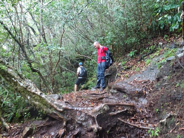 Point de repère du sentier du Plateau Bémale. Partir vers la mini ravine