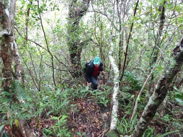 Le sentier est étroit mais ne se perd pas facilement des yeux
