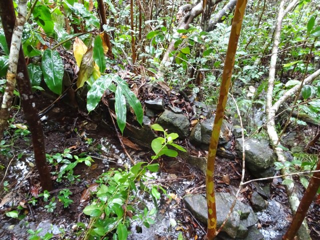 On passe près de cette ruine de citerne destinée à conserver l'eau