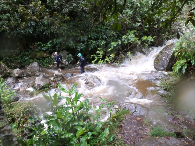 Traversée à gué du Bras Bémale en crue