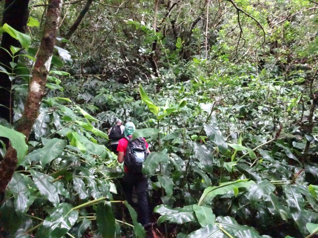 Les 20 premiers mètres après le gué sont hasardeux; viser le petit rempart