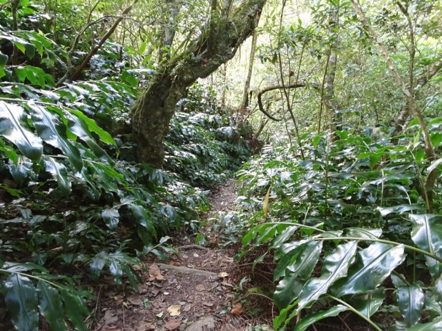 Descente un peu forte par endroits