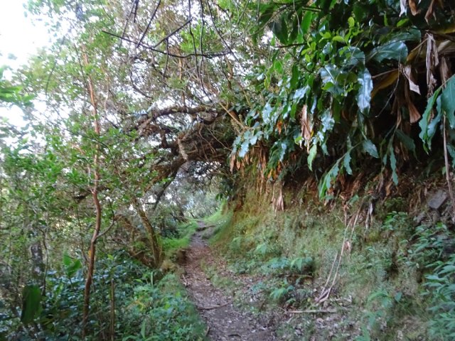 La fin du circuit est une longue balade en sous-bois