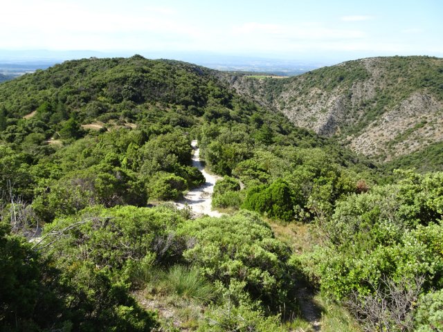 Descente plein sud pour repartir vers Cabrespine