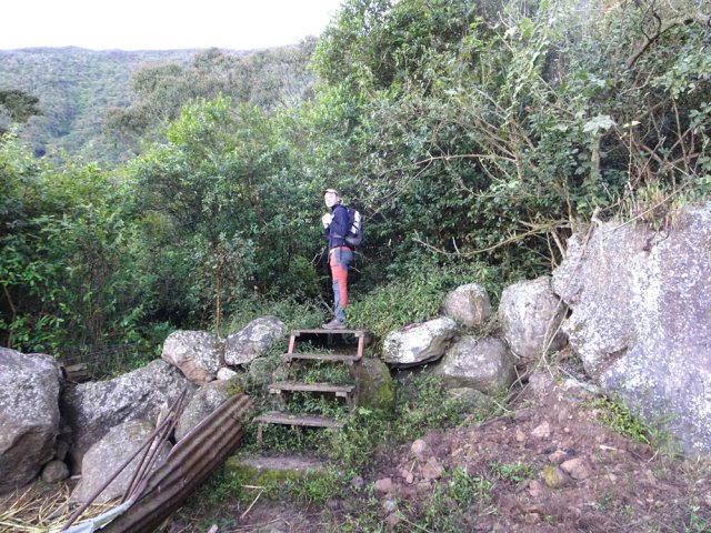 L'escalier du départ près du parc des bœufs qui restent placides
