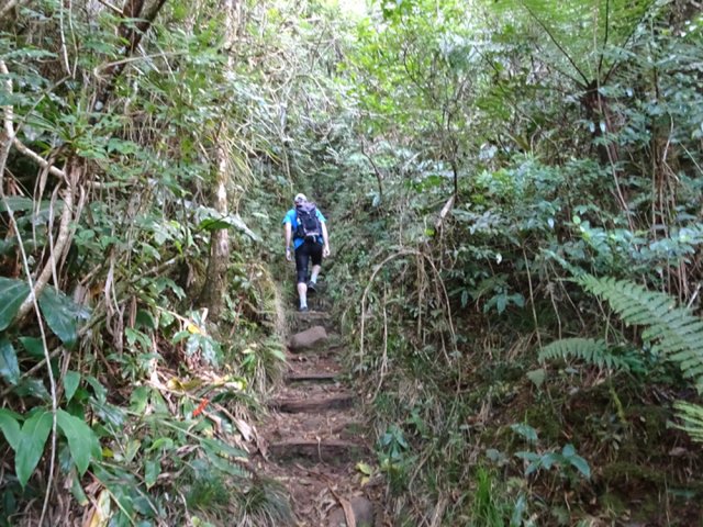 La forte montée étroite vers le sommet du Piton Bâtard