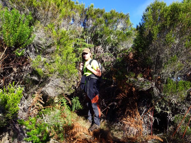 Le début du sentier marron vers le Piton Ravine à Marquet