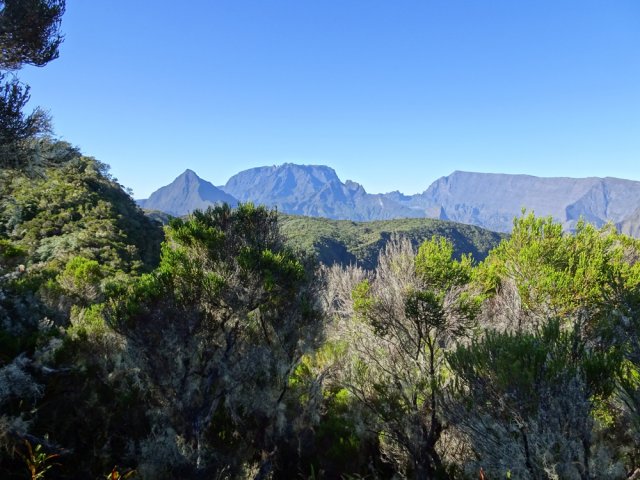Les panoramas sont plus rares en raison de la végétation