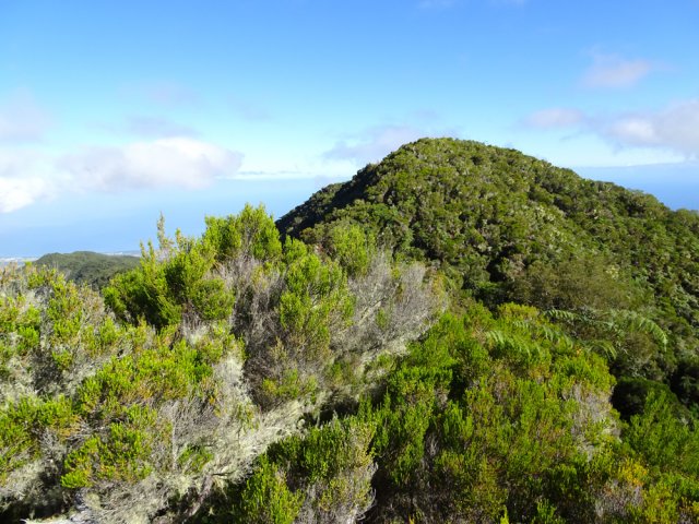 On s'approche du Piton Ravine à Marquet