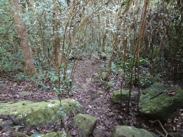 Le sentier est, avec les années, de mieux en mieux marqué