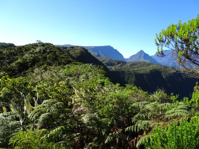 Une idée du chemin parcouru sur le haut de la crête