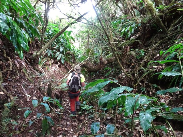 Il faut suivre assez longuement cette petite ravine