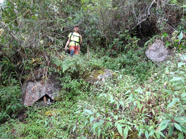 La descente est rendue périlleuse par l’excès de jouvences