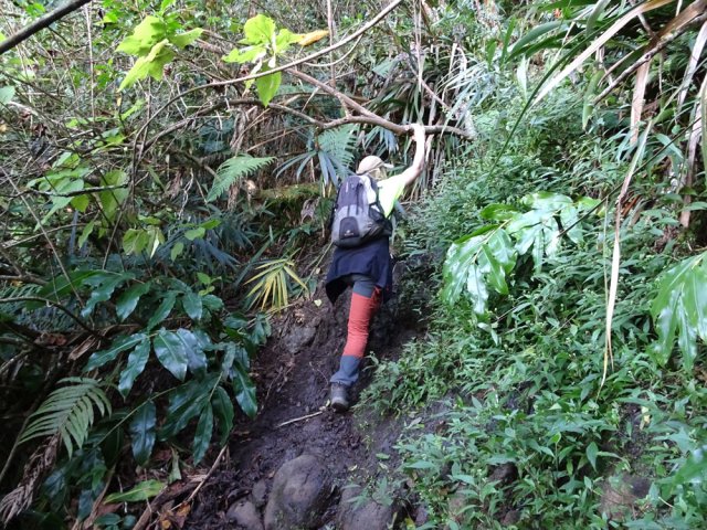 Passages délicats en fin de montée