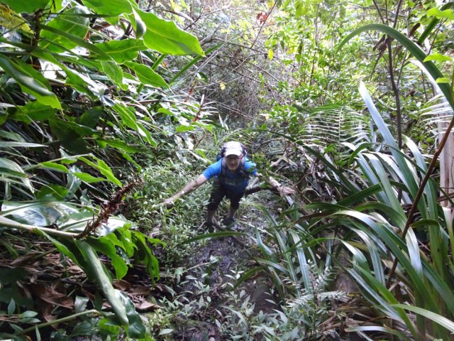 La pente peut y être forte et les branches sont utiles
