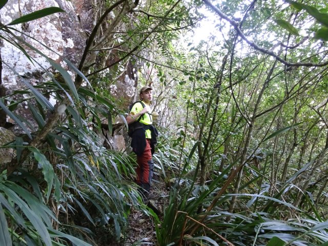 Le sentier oblique vers le sud pour contourner une muraille de basalte