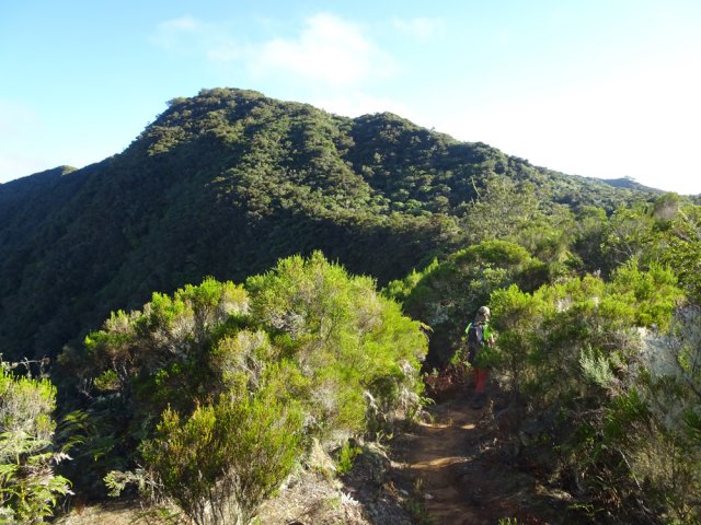 Après la forte montée, balade vers le Piton Bâtard