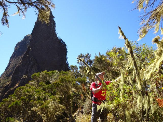 Repérer les branles poussant sur l'aiguille verticale du Nez de Bœuf : impressionnant