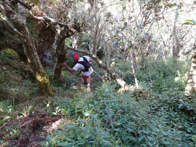 Trace bien marquée pour la descente dans les bois