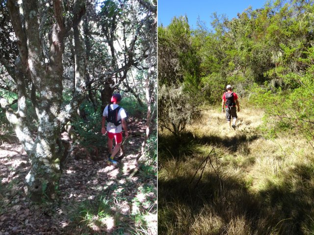 Deux autres portions de ce petit sentier rejoignant le GRR1