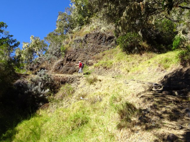 Rares parties plates durant la montée