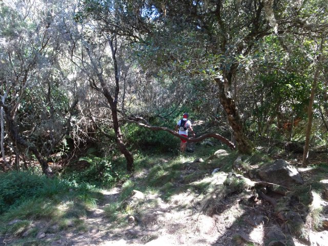 Le premier sentier au début de la Plaine des Fraises