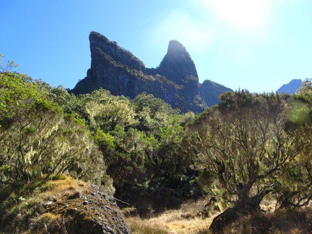 Le Nez de Bœuf vu depuis le rocher proche des joncs