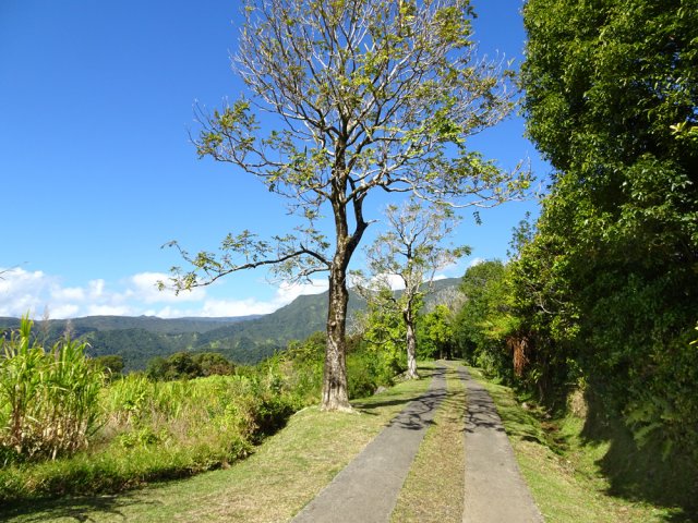 Magnifique piste qui incite à commencer plus bas