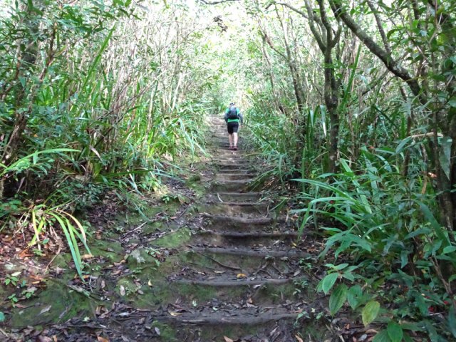 Fortes pentes par endroits, facilitées par les marches