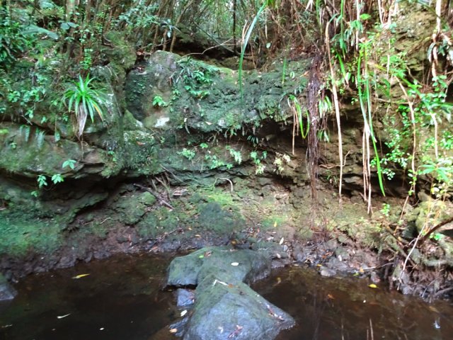 Un bassin à quelques pas du sentier