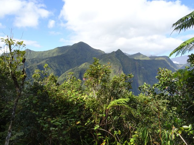Le Pic des Lianes domine à 1341 m