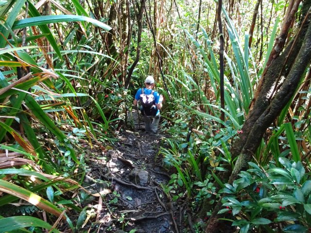 Forte descente entre cailloux et racines