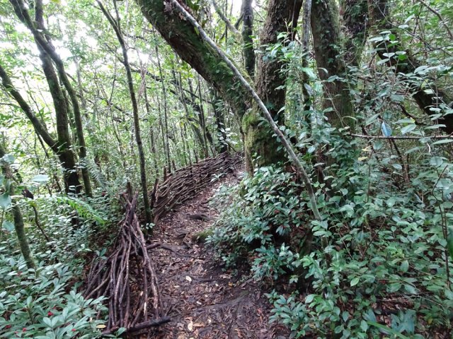 De nombreux tronçons sont encore bien aménagés