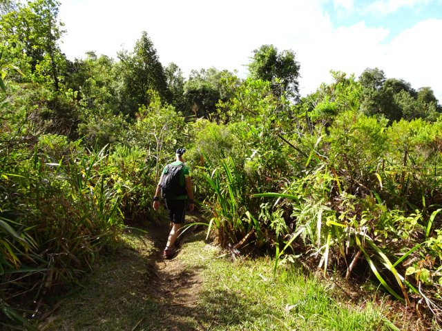 La fin de la descente s'effectue dans les fougères et les sabres