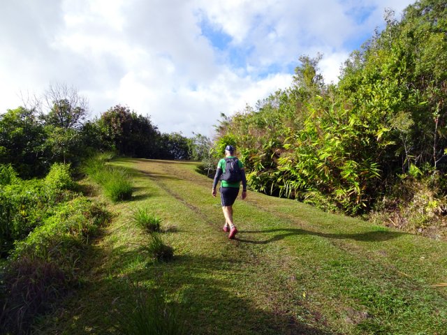 Les bandes de roulement sont remplacées par de la pelouse rase
