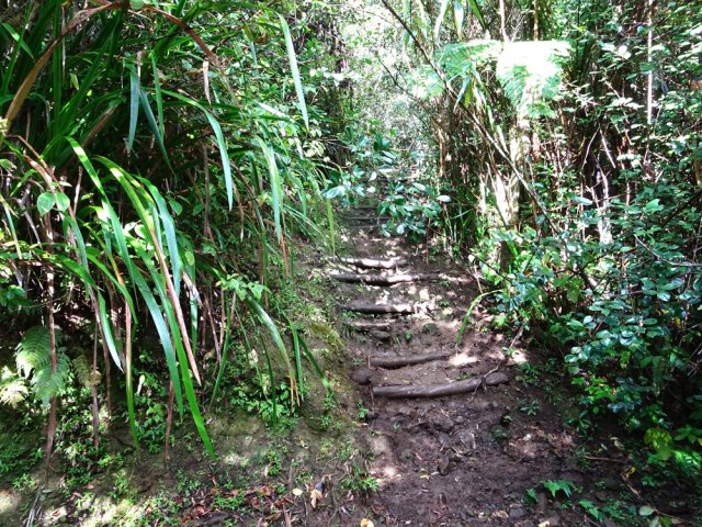 Large sentier un peu boueux au départ