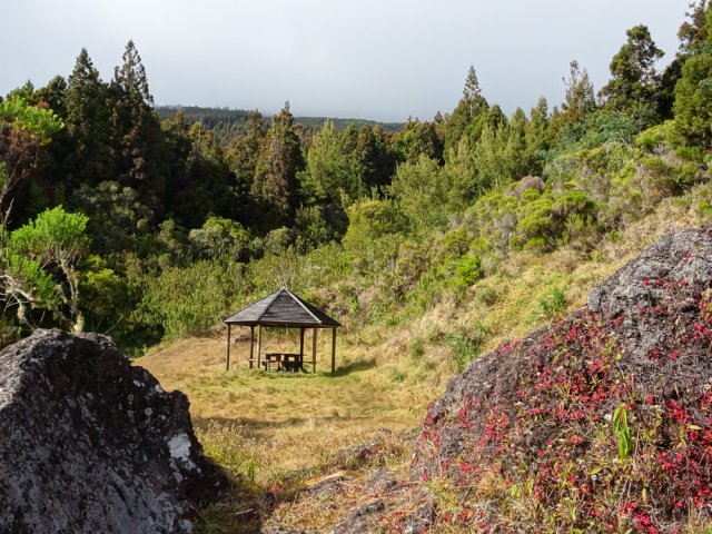 Vaste clairière et son kiosque pour le casse-croûte du retour