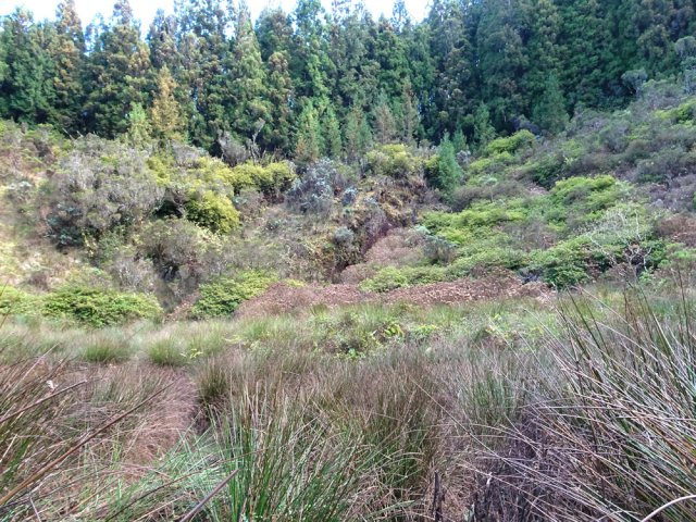 Dans quelques semaines, tout sera fleuri