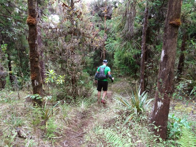 Le début du sentier de retour