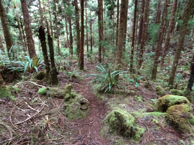 Le sentier reste bien marqué jusqu'à la fin