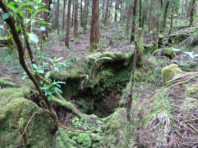 On longe une grosse rigole à sec aux parois moussues