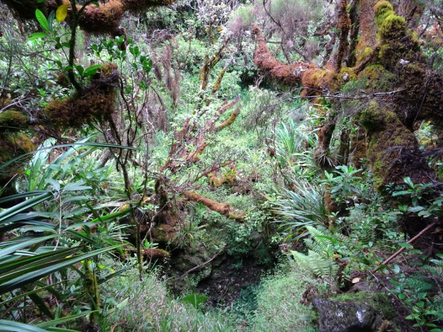 Le sentier s'approche parfois au plus près de la ravine encaissée