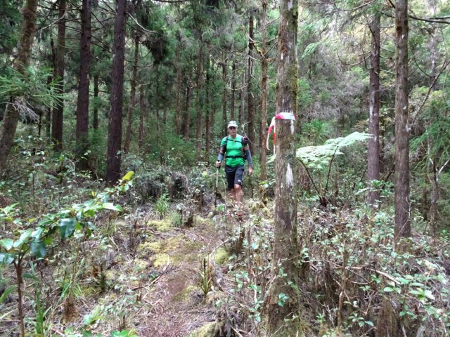 La fin de la descente s'effectue sur le même genre de sentier