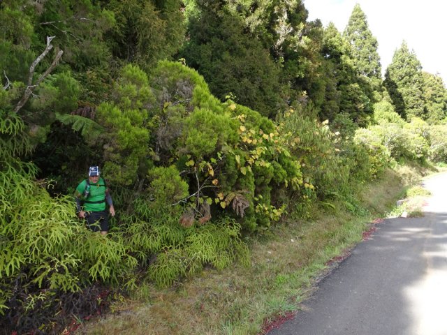 Le sentier surgit sur la route au plus près du pont