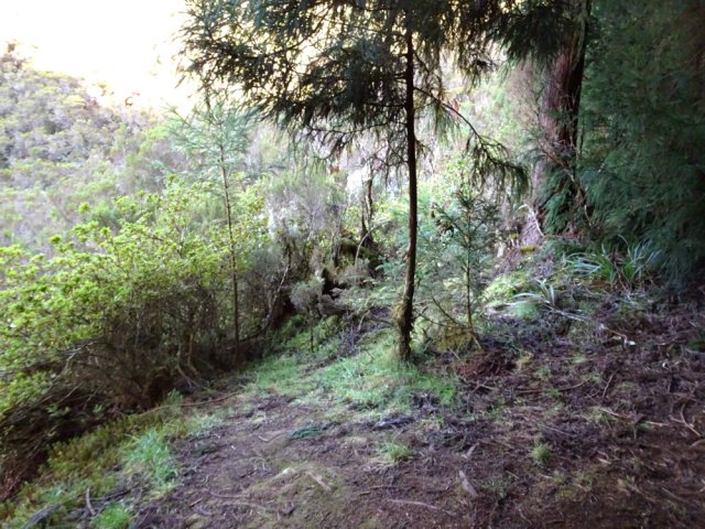 Le départ du petit sentier vers le fond du cratère