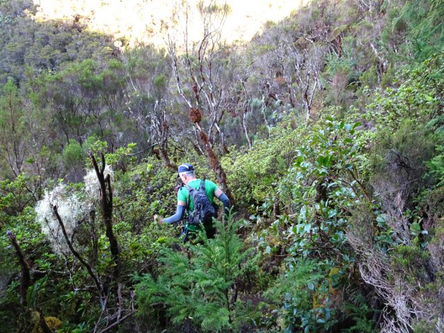 La plongée est immédiate dans les azalées