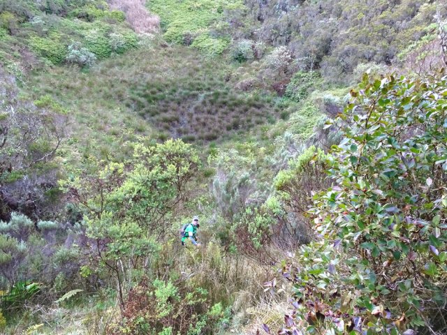 On se rapproche très vite du fond marécageux couvert de joncs