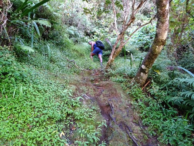 Courts raidillons qui font monter le "palpitant"